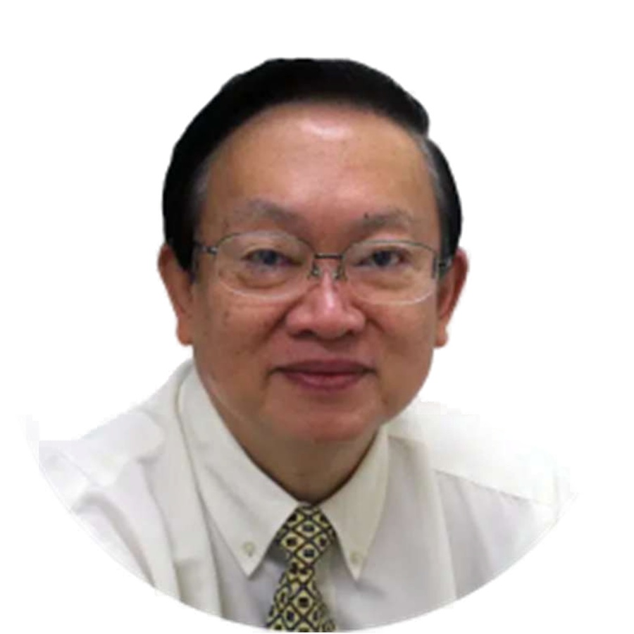 Prof Peter Lim Huat Chye